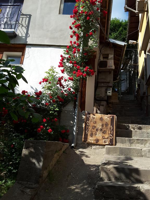 Diana Guesthouse เวลีคอเทอร์โนโว ภายนอก รูปภาพ